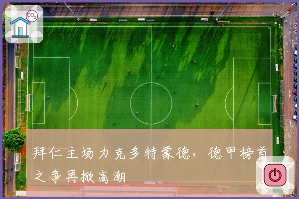 拜仁主场力克多特蒙德，德甲榜首之争再掀高潮